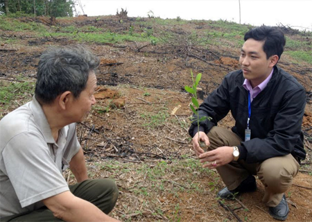 Lãnh đạo xã Cảm Ân trao đổi với nông dân về kỹ thuật trồng rừng.