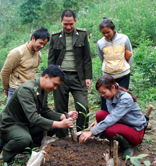 Kiểm lâm huyện Văn Yên hướng dẫn nhân dân xã Đại Sơn trồng quế. (Ảnh: Nguyễn Giang)