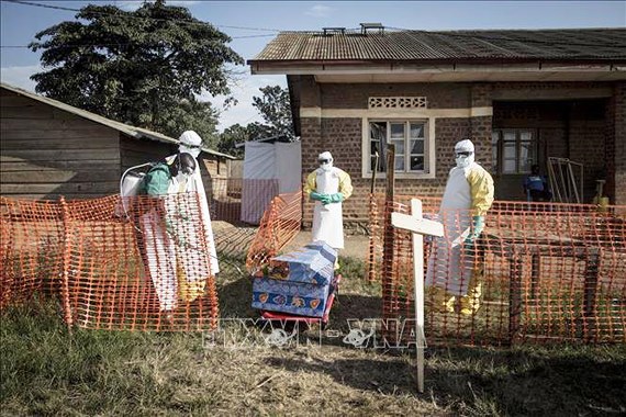 Nhân viên y tế phun thuốc khử trùng xung quanh quan tài một bệnh nhân tử vong do Ebola tại Beni, CHDC Congo.