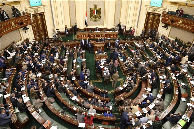 Toàn cảnh phiên họp Quốc hội Ai Cập về sửa đổi Hiến pháp ở thủ đô Cairo ngày 16/4/2019.