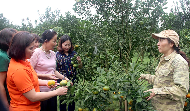 Lãnh đạo Trung ương Hội LHPN Việt Nam và Hội LHPN tỉnh thăm mô hình trồng cam cho thu nhập hơn 300 triệu đồng/năm của gia đình chị Đặng Thị Liên (bên phải) ở thôn 5, xã Thượng Bằng La, huyện Văn Chấn.