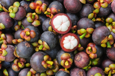 Trước măng cụt, đã có 8 loại trái cây Việt Nam được phía Trung Quốc nhập khẩu chính ngạch là: Thanh long, dưa hấu, chôm chôm, xoài, nhãn, vải, chuối và mít.