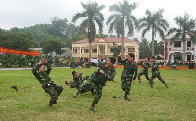 Các chiến sĩ lực lượng vũ trang tỉnh biểu diễn võ thuật tại lễ ra quân huấn luyện.
