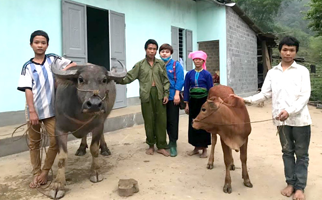 Gia đình anh Lò Văn Toàn được chị Đinh Thị Điệp kết nối hỗ trợ xây dựng ngôi nhà mới và trao tặng vật nuôi có giá trị.