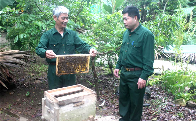 Cựu chiến binh Nguyễn Chí Long, thôn Cẩu Vè, xã Tân Lĩnh (bên trái), phát triển nuôi ong, thu nhập trên 70 triệu đồng/năm.
