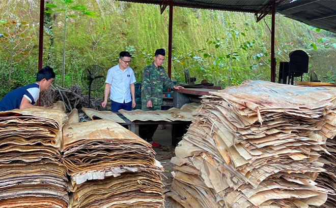Xưởng chế biến gỗ rừng trồng của đảng viên Hoàng Mạnh Hùng ở Chi bộ thôn Bản Phạ, xã Việt Hồng tạo việc làm thu nhập ổn định cho nhiều lao động địa phương.
