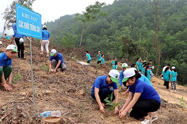 Đoàn Thanh niên tỉnh Hòa Bình tích cực trồng cây.