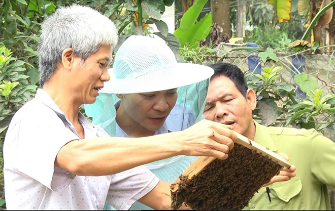 Nông dân xã Báo Đáp trao đổi kinh nghiệm nuôi ong mật.
