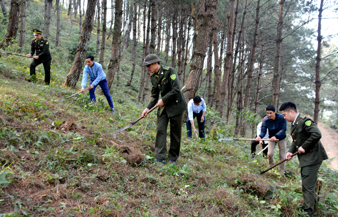 Kiểm lâm huyện Trạm Tấu cùng các lực lượng của xã Bản Công tham gia làm đường băng cản lửa PCCCR tại khu rừng trồng phòng hộ thôn Bản Công. 
