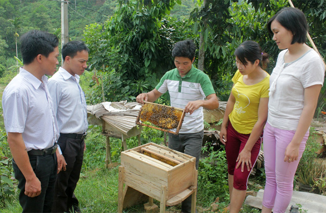 Nhiều hội viên nông dân huyện Văn Yên phát triển mô hình nuôi ong, thu nhập gần 100 triệu đồng/năm.