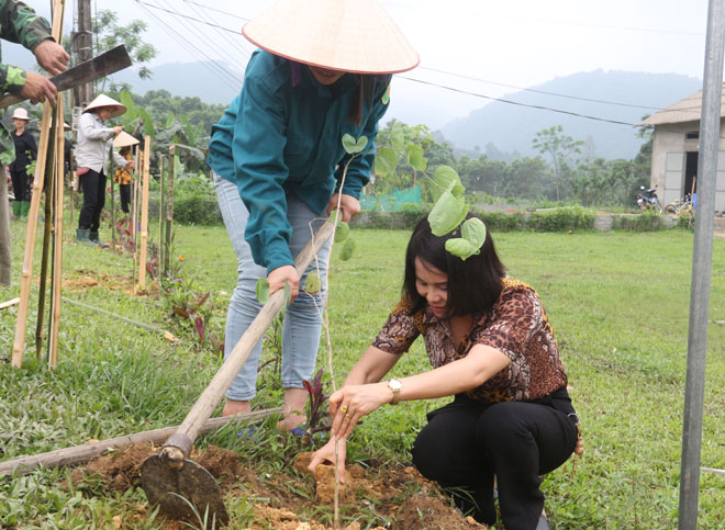 Bà Bồ Thị Hoa - Chủ tịch Hội LHPN huyện Trấn Yên tham gia trồng hoa ban cùng hội viên phụ nữ và người dân xã Việt Cường.