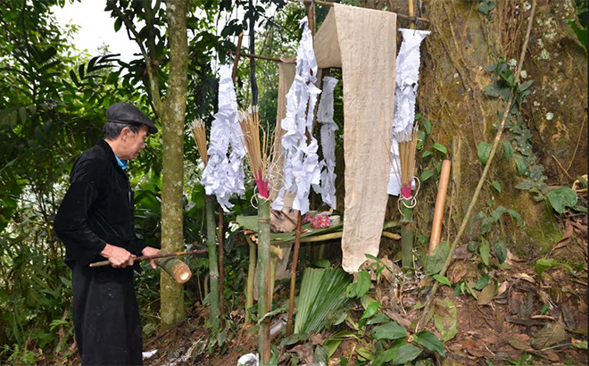 Lễ cúng rừng ở Nà Hẩu được thầy mo thực hiện với những nghi thức tâm linh.