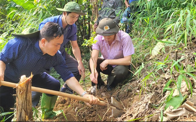 Cán bộ Hạt Kiểm lâm huyện Yên Bình hướng dẫn kỹ thuật trồng, chăm sóc, bảo vệ rừng tại xã Tân Nguyên.