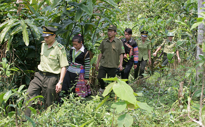 Lãnh đạo, cán bộ Hạt Kiểm lâm huyện Văn Chấn cùng nhân dân kiểm tra công tác bảo vệ rừng tại cơ sở.