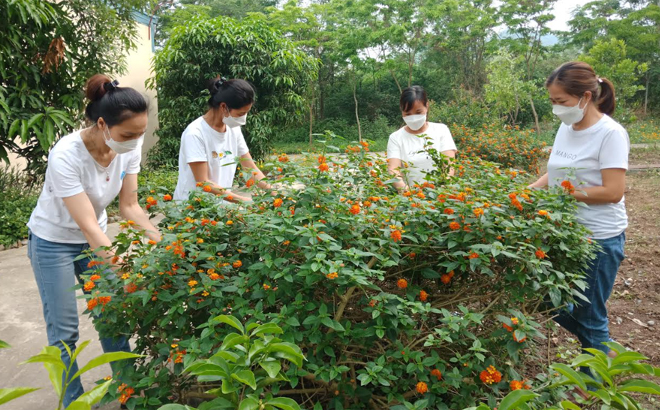 Đoàn viên CĐCS Công ty TNHH Một thành viên Chiến Thắng Nghĩa Lộ chăm sóc vườn hoa cây cảnh trong khuôn viên Công ty.