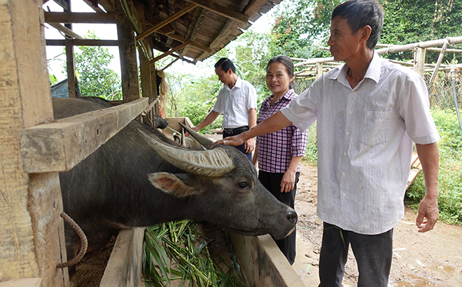 Những mô hình đổi mới tư duy ở Mù Cang Chải