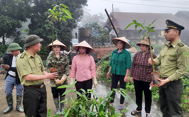 Lãnh đạo Hạt Kiểm lâm huyện Lục Yên hướng dẫn người dân thôn Khau Ca, xã An Phú cách trồng, chăm sóc cây tre măng Bát độ.