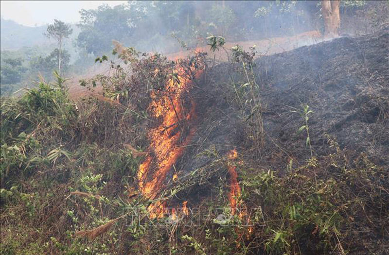 Vụ cháy rừng do người dân trên địa bàn huyện Điện Biên (tỉnh Điện Biên) đốt nương làm rẫy.