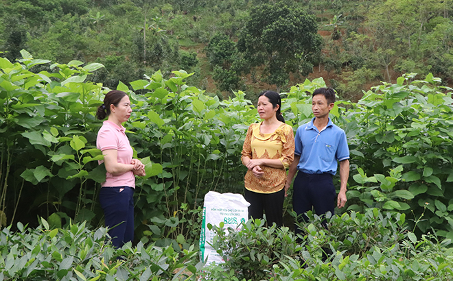 Cán bộ Hội Liên hiệp Phụ nữ xã Tân Thịnh, huyện Văn Chấn trao đổi với hội viên về sử dụng hiệu quả vốn vay.