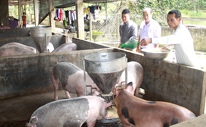 Lãnh đạo xã An Bình thăm mô hình tổng hợp kinh tế VACR của ông Ngô Quốc Khánh, thôn Khe Trang (người thứ nhất, bên phải) có thu nhập trên 300 triệu đồng/năm.