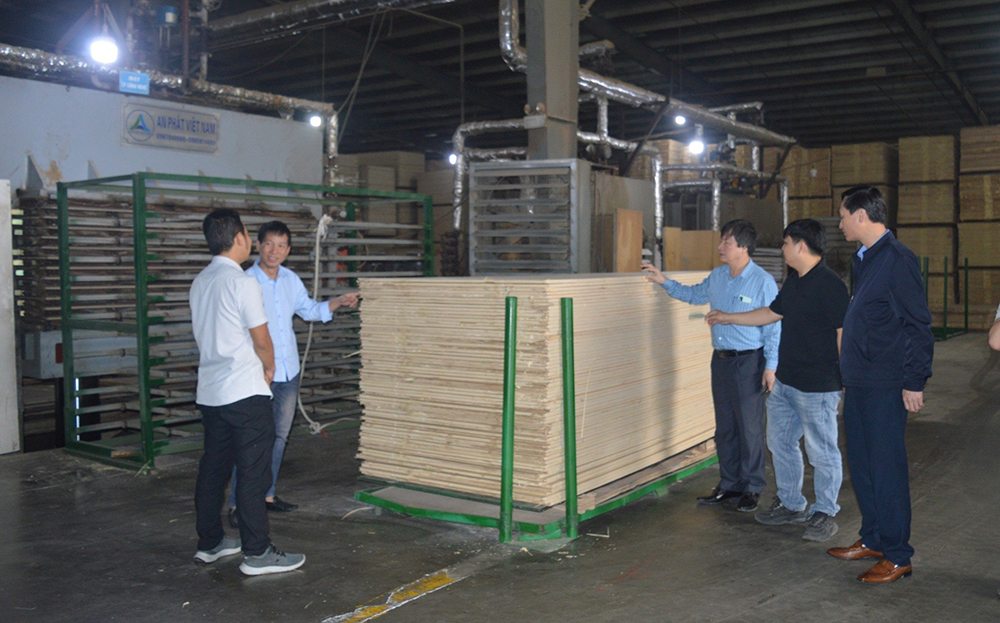Chế biến gỗ rừng trồng tại Công ty cổ phần Thương mại Sản xuất Kim Gia, KCN phía Nam của tỉnh.