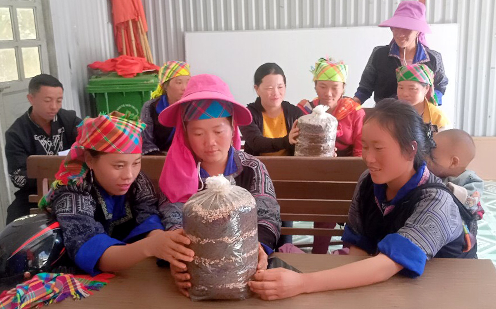 Các hội viên phụ nữ xã Dế Xu Phình, huyện Mù Cang Chải tham gia lớp học nghề làm nấm rơm, góp phần nâng cao thu nhập, cải thiện đời sống.