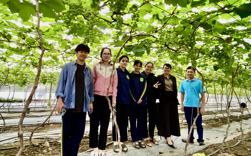 Du khách trải nghiệm và check-in tại trang trại trồng nho của Hợp tác xã Sáu không Farm, thị trấn Yên Thế, huyện Lục Yên.