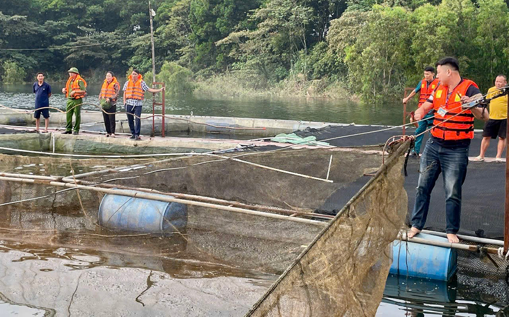 Đoàn kiểm tra liên ngành huyện m88 trang cá cược the thao Bình kiểm tra và tháo dỡ các vó đèn tận diệt từ lợi dụng nuôi cá lồng tại thị trấn m88 trang cá cược the thao Bình.