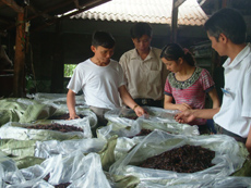 Cơ sở chế biến chè của gia đình anh Tạ Minh Duật, xã Tân Hương (Yên Bình) có mức doanh thu trên 3,5 tỷ đồng. (Ảnh: Minh Anh)



