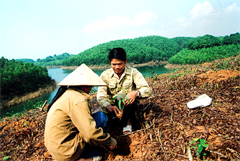 Anh Phương trồng rừng vụ xuân.

