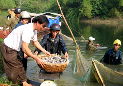 Tỉnh Yên Bái có chủ trương khuyến khích các hội chăn nuôi thủy sản.