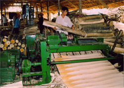 Chế biến gỗ rừng trồng tại xã An Thịnh, huyện Văn Yên.