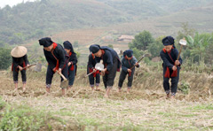 Hội Phụ nữ xã Tân Phượng với 190 hội viên là nòng cốt trong mọi hoạt động. (Ảnh: Thanh Phúc)