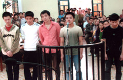 Các bị cáo trong vụ án Lê Văn Quỳnh cùng đồng bọn trước vành móng  ngựa.
