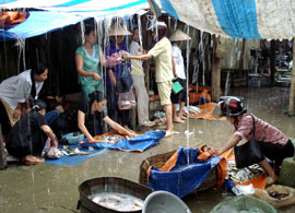 Chủ tịch Ủy ban Nhân dân các tỉnh, thành phố phải huy động các lực lượng của địa phương tăng cường kiểm tra, đảm bảo đảm an toàn vệ sinh thực phẩm.