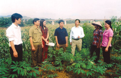 Các đồng chí lãnh đạo huyện Văn Yên (Yên Bái) về thăm nơi bộ đội ta vượt sông tham gia chiến dichh Sông Thao.