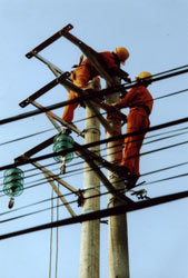 Công nhân Điện lực Yên Bái  lắp đặt đường điện lực tại thành phố Yên Bái.
