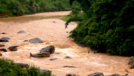 Nước trên dòng Nậm Kim có lưu lượng lớn.
