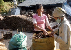 Nông dân huyện Trấn Yên phơi và bảo quản vỏ quế.
(Ảnh: Sùng Đức Hồng)