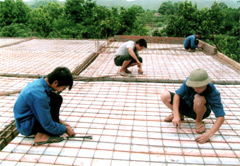 Công nhân Công ty TNHH Nam Thái (thành phố Yên Bái) thi công công trình Trường Mầm non Hoa Phượng, thị trấn Mậu A (Văn Yên).
(Ảnh: Trường Phong)