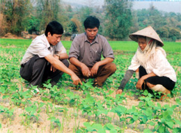 Lãnh đạo huyện Văn Chấn và xã Phù Nham kiểm tra diện tích ruộng 1 vụ chuyển sang trồng màu tại xã. (Ảnh: Minh Hằng)

