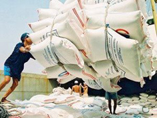 Bốc xếp gạo xuất khẩu tại Cảng Sài Gòn.