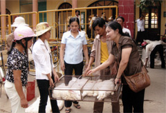 Trung tâm SUDECOM giao thỏ giống cho các hộ phường Yên Thịnh (TP Yên Bái).

