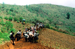 Nông dân xã Phình Hồ, huyện Trạm Tấu làm đường giao thông nông thôn.