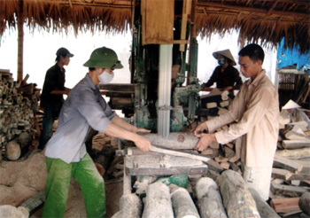 Hiện nay, Xuân Ái có 5 xưởng chế biến gỗ,  phục vụ nhu cầu tiêu thụ gỗ rừng trồng của nhân dân địa phương.
