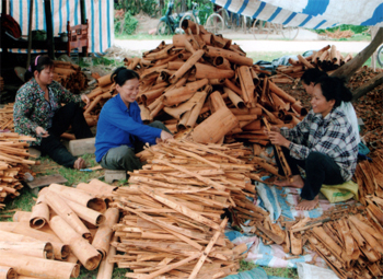 Nhờ chính sách của Đảng và Nhà nước, hộ gia đình anh Nguyễn Minh Phương   thôn Tân Thành, xã Quy Mông đã thoát nghèo và tạo công ăn việc làm cho nhiều lao động địa phương.