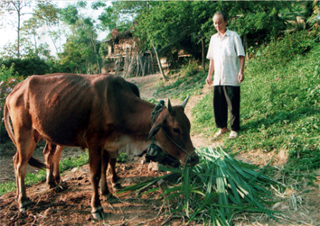 Già Lử luôn gương mẫu trong mọi phong trào, hoạt động ở Suối Giàng.
