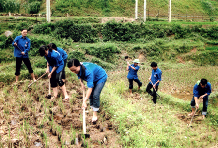 Thanh niên tình nguyện giúp bà con người Mông xã Chế Cu Nha làm đất vụ mùa. (Ảnh: Sùng Đức Hồng)
