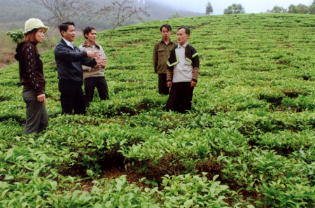 Đồng chí Đỗ Gia Quỵnh (thứ 2, trái sang) - Bí thư Đảng ủy xã Sơn Thịnh kiểm tra tình hình sản xuất của nhân dân bản Lềnh.

