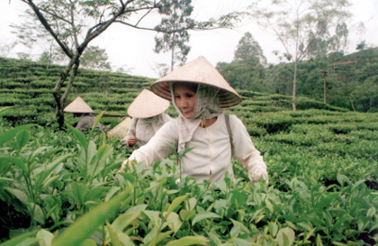 Tiết lộ mô hình làm giàu từ nông nghiệp bạn phải trầm trồ